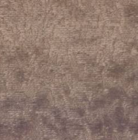 5495- Caramel Ecador Chille Plain